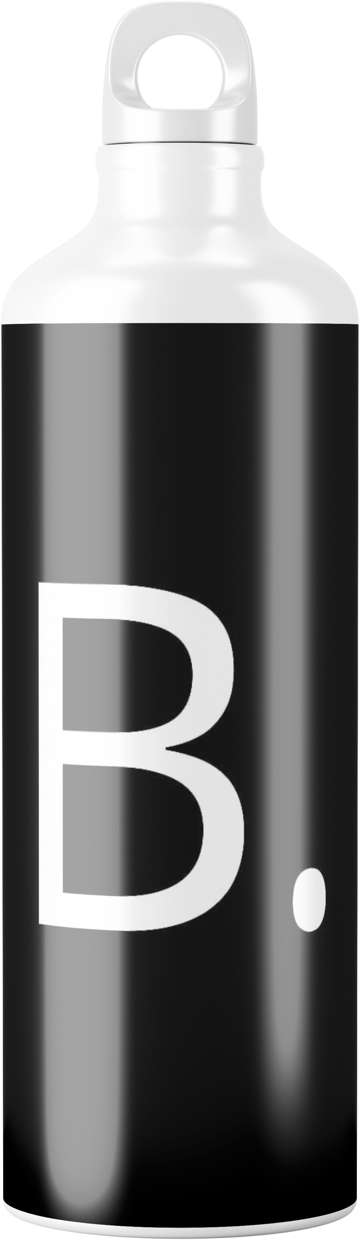 B. Water Bottle
